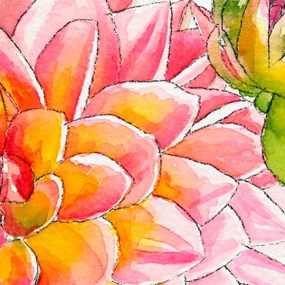 Detail of watercolor botanical art by Raquel Saavedra - Dhalias